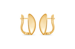 Yellow Gold Polished Leverback Earrings