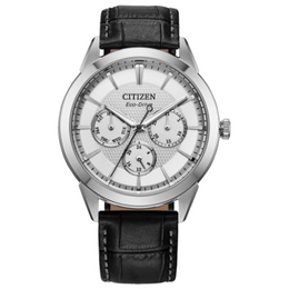 Citizen Men's Rolan Silver Tone Leather Watch