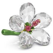 Swarovski Florere Hibiscus Crystal Flower Figurine