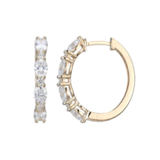 Casablanca Brass Yellow Gold Plated CZ Hoop Earrings