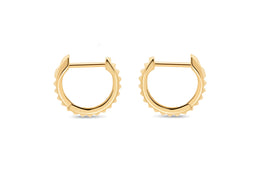 10KT Yellow Gold Hoop Earrings