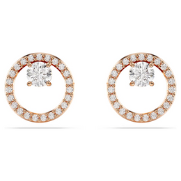 Swarovski Constella Rose Plated Stud Earrings