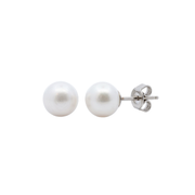 Casablanca Sterling Silver 6mm Freshwater Pearl Stud Earrings