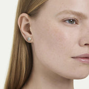 Swarovski Magic Yellow Gold Tone Snowflake Stud Earrings