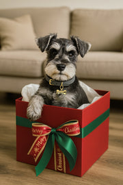 Customizable Pet Charms