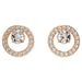 Swarovski Creativity Circle Rose Stud Earrings with a rose gold-plated finish, showcasing a central clear crystal surrounded by a halo of smaller crystals, reflecting elegance and a modern touch.