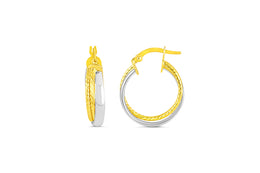 Two Tone Hoops